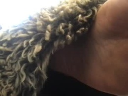 Screen Grab from daddydivinedanielle