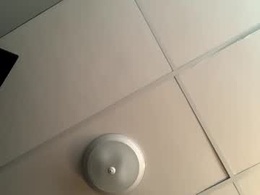 Screen Grab from daddyisdaddy6996