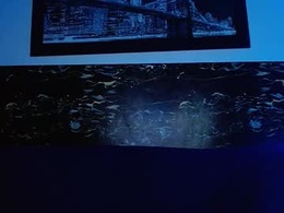 Screen Grab from dark_stallionx