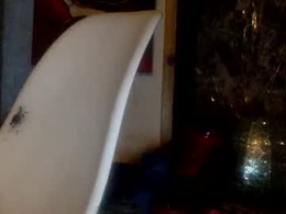 Screen Grab from darrellthetrailerparkgod