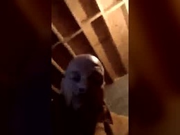 Screen Grab from deedeeper747
