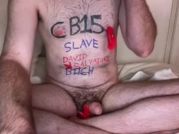 Screen Grab from demetriartmodel