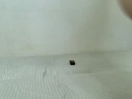 Screen Grab from devilmancrybab