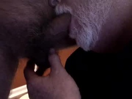 Screen Grab from dieseldude70