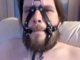 Screen Grab from dirtydogsday