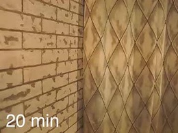 Screen Grab from dollyvela