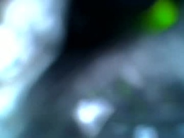 Screen Grab from dominicveins
