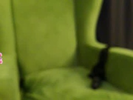 Screen Grab from dorothymcdonald