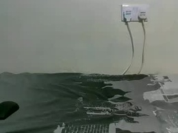 Screen Grab from dortomel