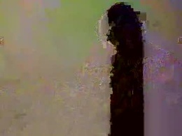 Screen Grab from ed_flo