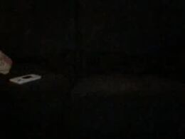 Screen Grab from elameno