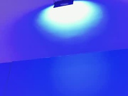 Screen Grab from ellie_wilson