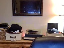 Screen Grab from emceemoe