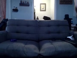 Screen Grab from emmobeysyoux0x0x