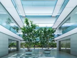 Screen Grab from eng_spa