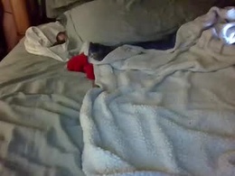 Screen Grab from eva_lox