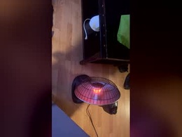 Screen Grab from evafoxxxts