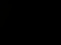 Screen Grab from everlast690