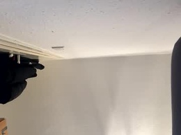 Screen Grab from fablomaduro