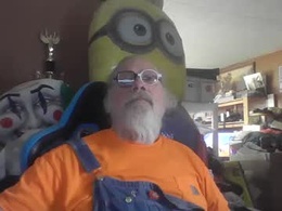 Screen Grab from fatfreddythecat