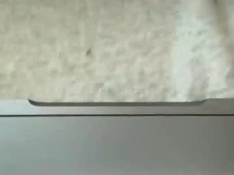 Screen Grab from feefifobum