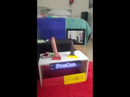 Screen Grab from flavor_flave