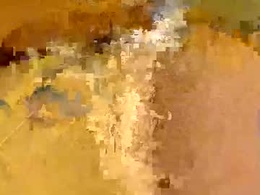 Screen Grab from flexngudlit