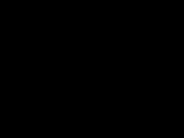 Screen Grab from flo8600