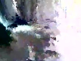 Screen Grab from floridawood