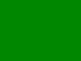 Screen Grab from fotzencommander
