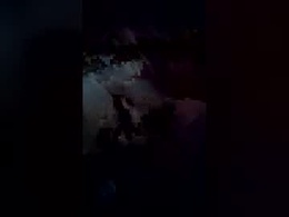 Screen Grab from frankandbeans1503