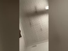 Screen Grab from funaussieguy80