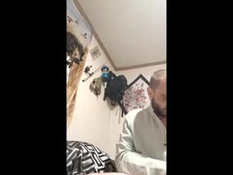 Screen Grab from funinbed607918