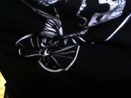 Screen Grab from galvaraz7756