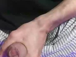 Screen Grab from genialturtle