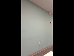 Screen Grab from giggalo757