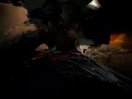 Screen Grab from go7backaagain