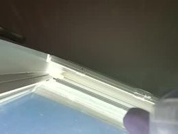 Screen Grab from goosetrucker982440