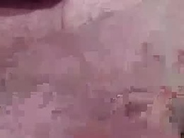 Screen Grab from gregburns