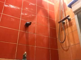 Screen Grab from grekopix