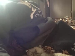 Screen Grab from hansolo420452238