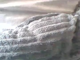 Screen Grab from hexino