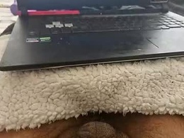 Screen Grab from hornyfuckerbgdick69