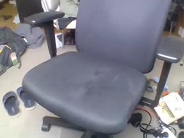 Screen Grab from humanpetxxx