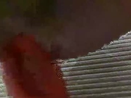 Screen Grab from hydrobauer95549554