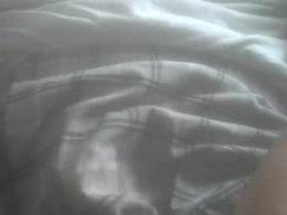 Screen Grab from icyveins