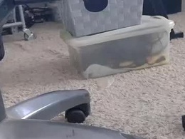 Screen Grab from injmolder2