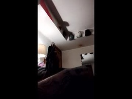 Screen Grab from inkedmagic