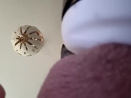 Screen Grab from inyourface46