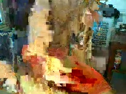 Screen Grab from irwinsinger